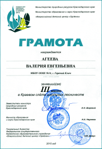 Грамота Агеева Валерия