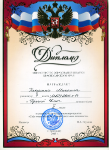 Диплом Пикулин Михаил