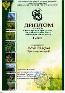 Диплом Агеева Валерия