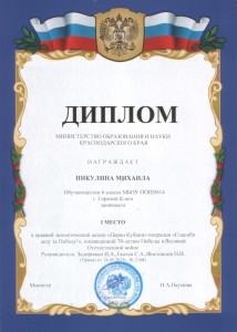 Диплом Пикулин Михаил